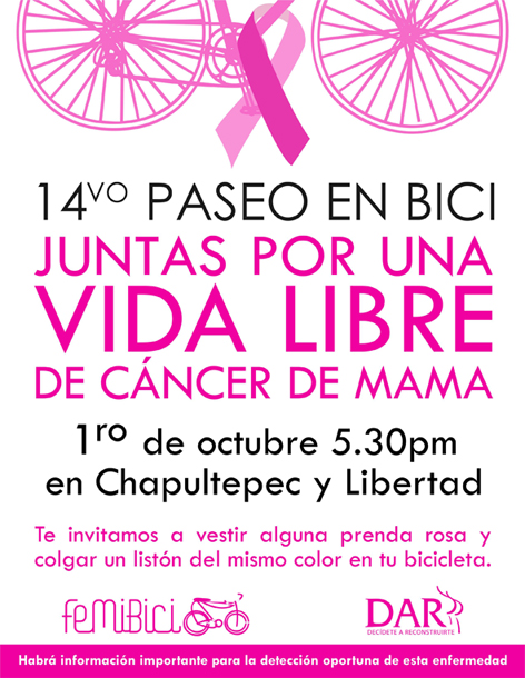 14femibici3