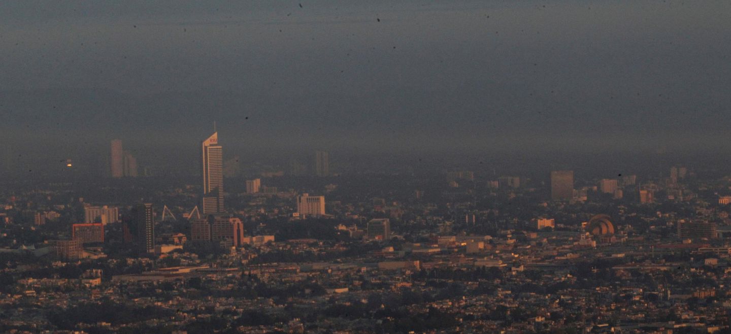 rs1567824__mgl4669_crop1547033978185.jpg_1589087806